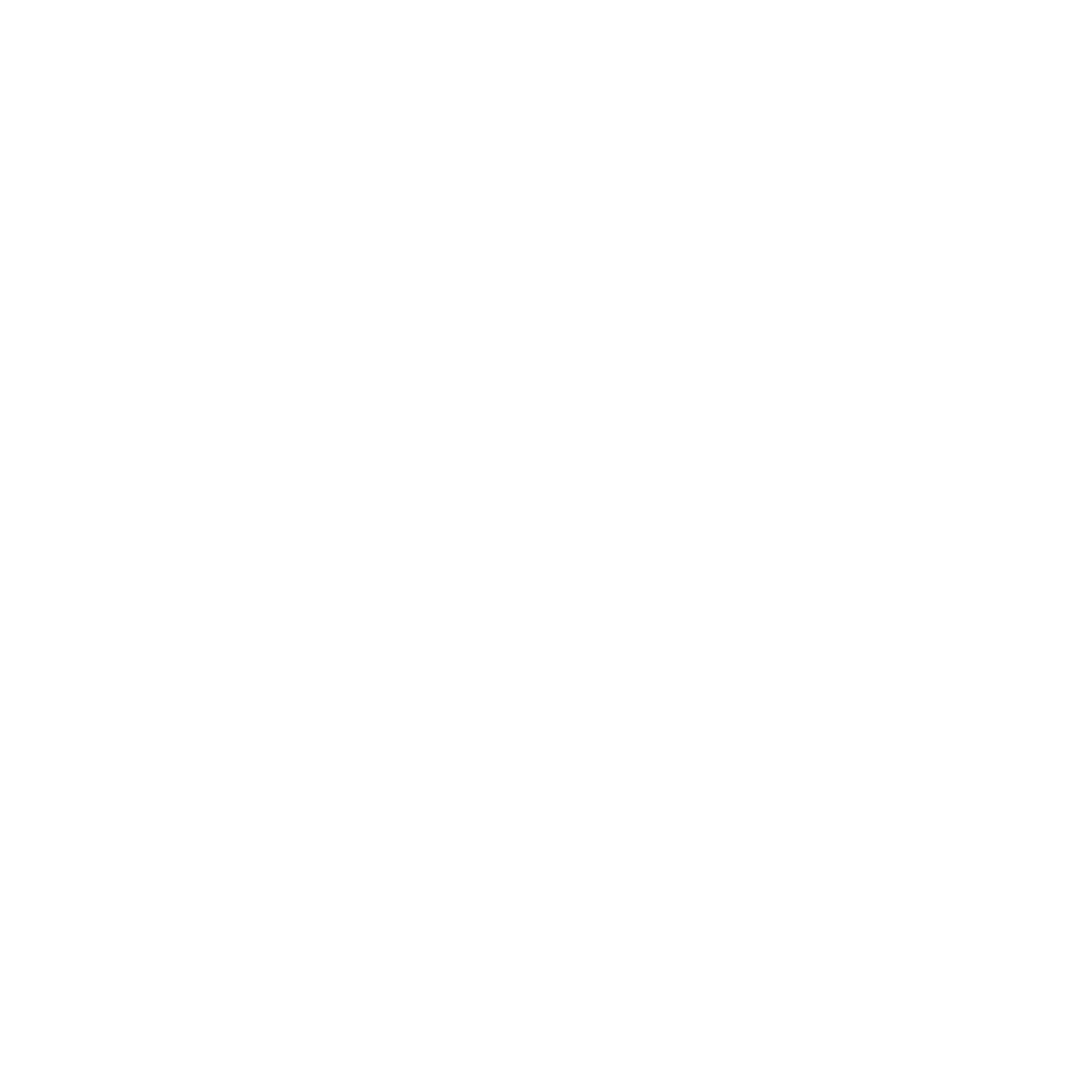 lionera-esport